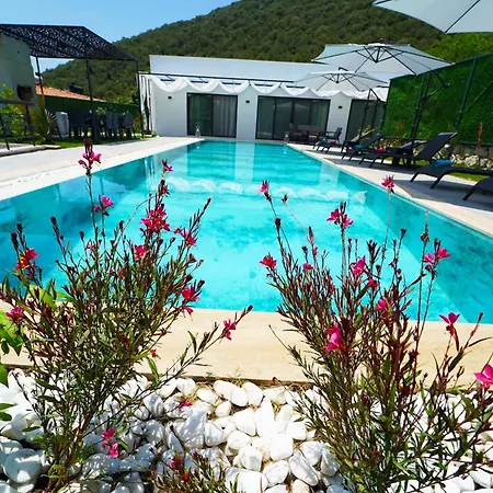 Villa Mamon Luxury Life